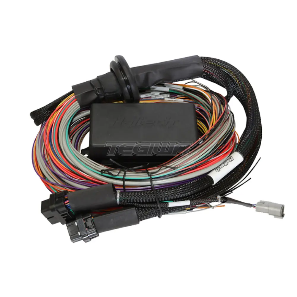 Haltech Elite 2500 & 2500 T Premium Universal Wire-in Harness - 3M