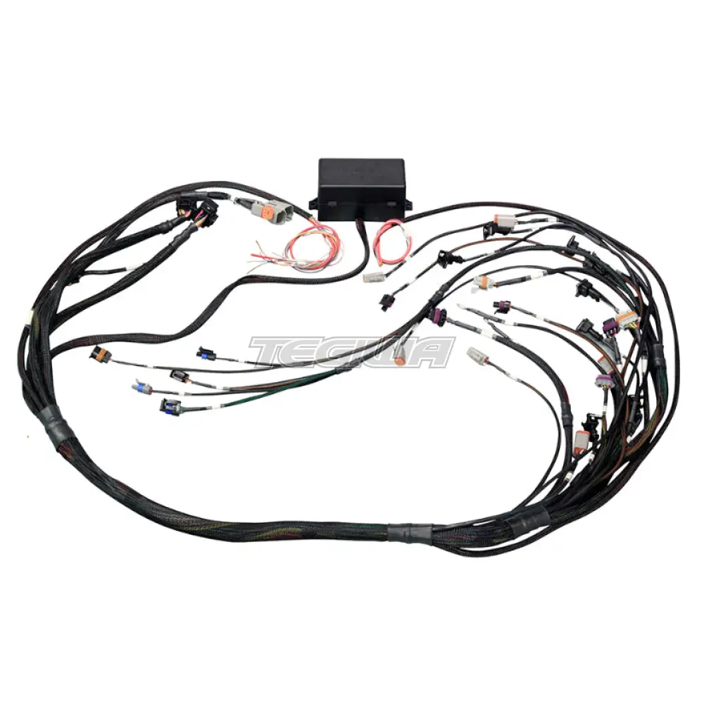 Haltech Elite 2500 GM GEN IV LS2 DBW Ready Terminal Harness - EV6