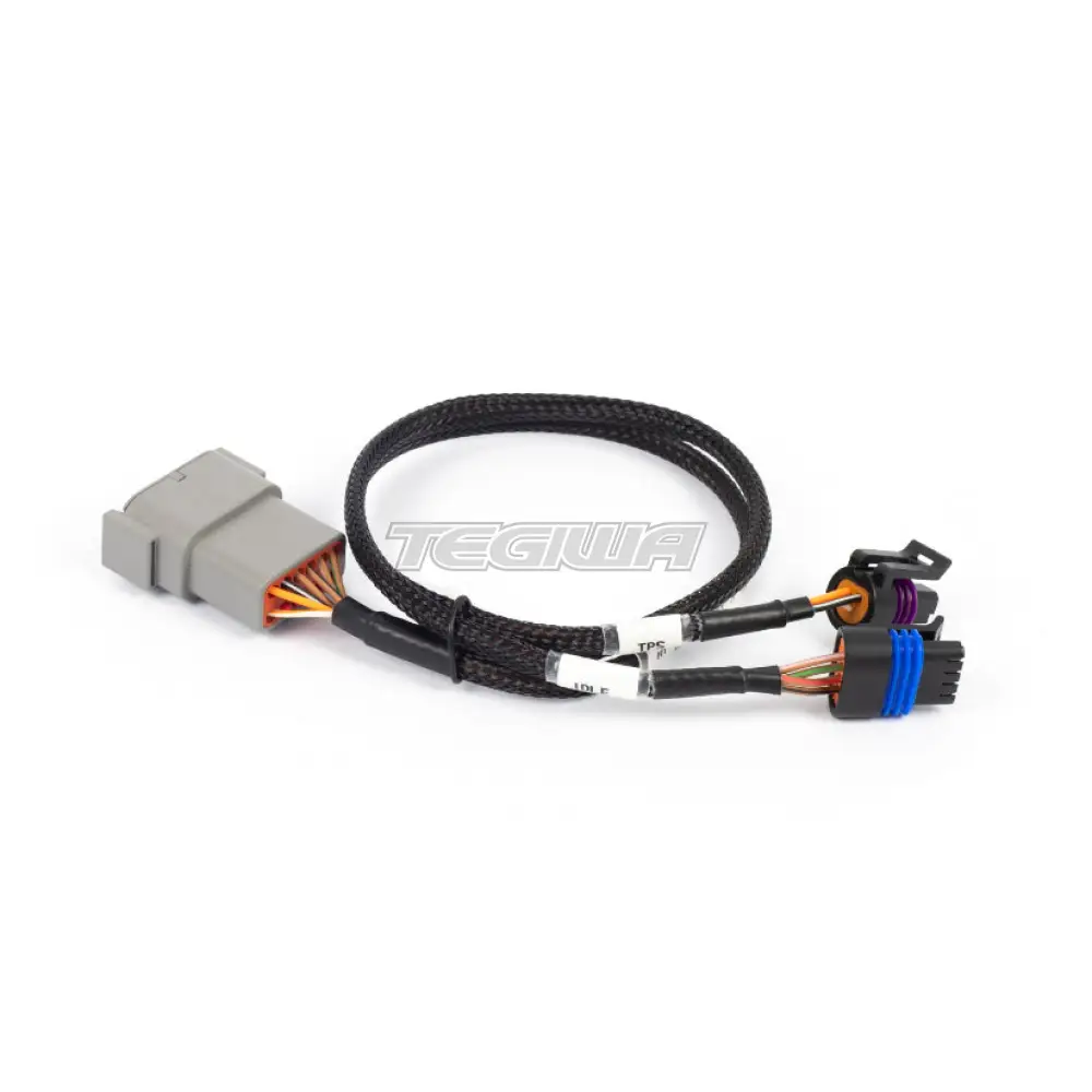 Haltech Nexus Rebel LS - Cable Throttle + IAC sub-harness - Image 2