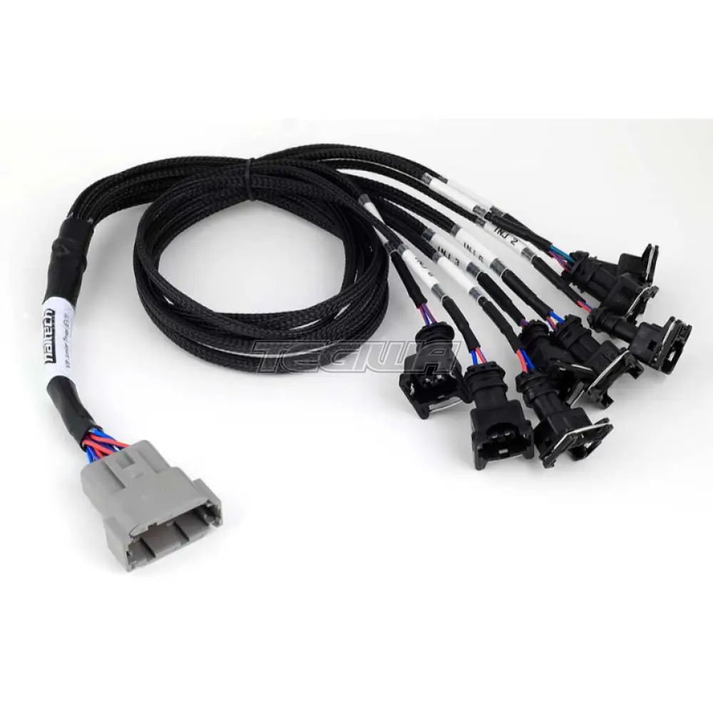 Haltech Nexus Universal V8 - Junior Timer (EV1) Injector Primary Breakout