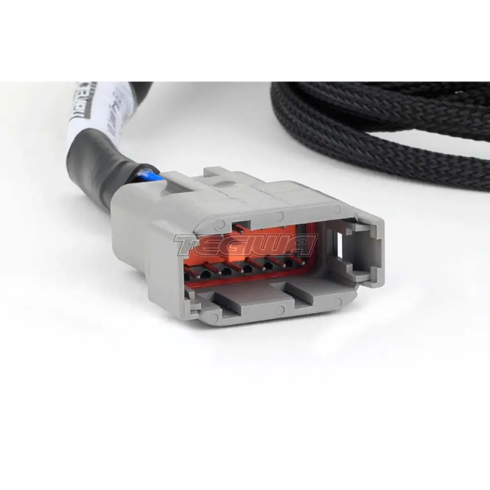 Haltech Nexus Universal V8 - Junior Timer (EV1) Injector Primary Breakout - Image 2